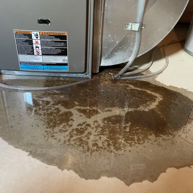 Appliance Leak Cleanup in Gearhart, OR